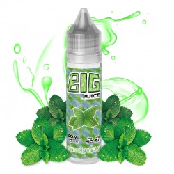 Big Juice 50 ML