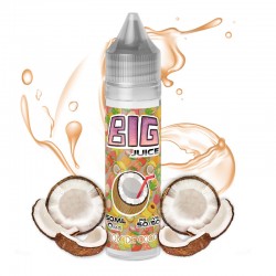 Big Juice 50 ML