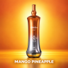 Jnr Alien Pro 80k Shisha - 80000 bouffées
